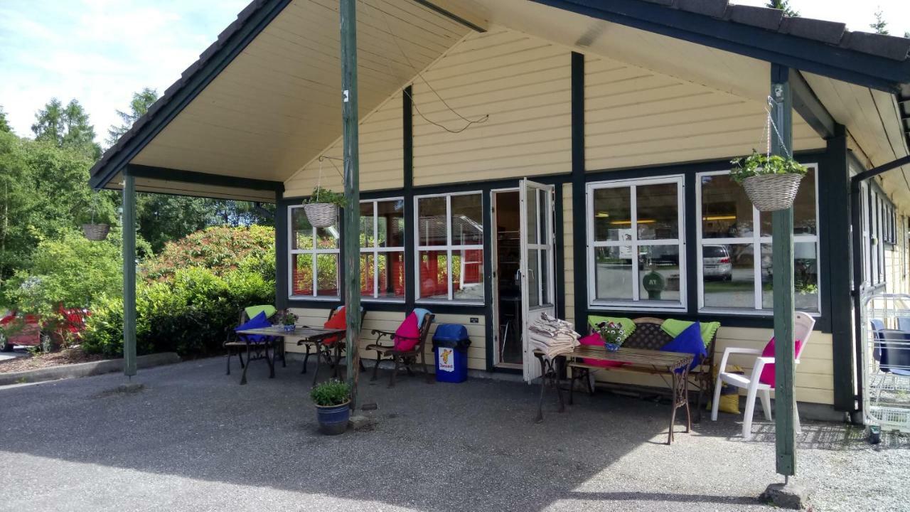 Bergen Camping Park Ngoại thất bức ảnh